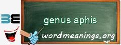 WordMeaning blackboard for genus aphis